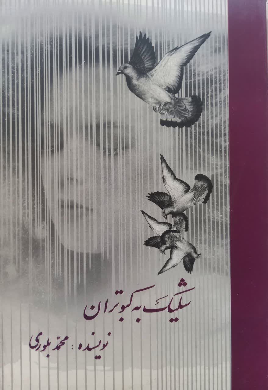 شلیک به کبوتران (داستان بلند)