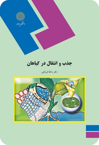 جذب و انتقال در گیاهان